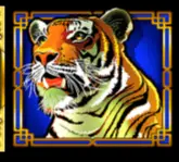 Tiger symbol on the Dragon Link paytable